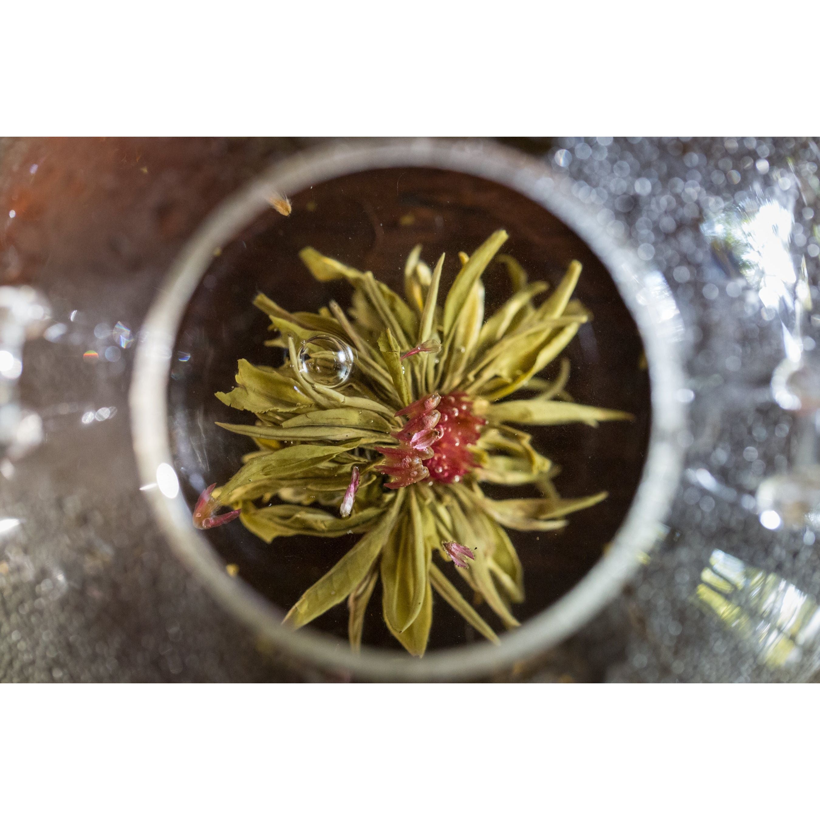 flor floreciente