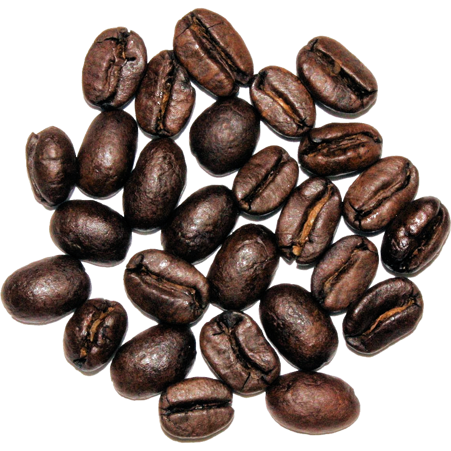 Golden Sumatra - The Cultured Cup®