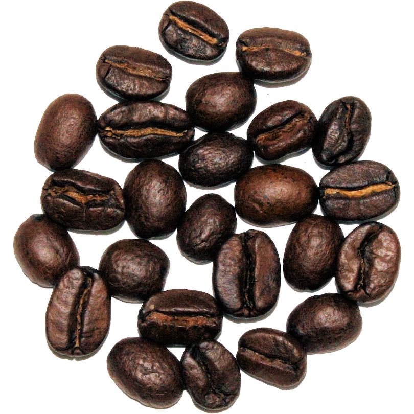 Toasted Almond Cream - The Cultured Cup®