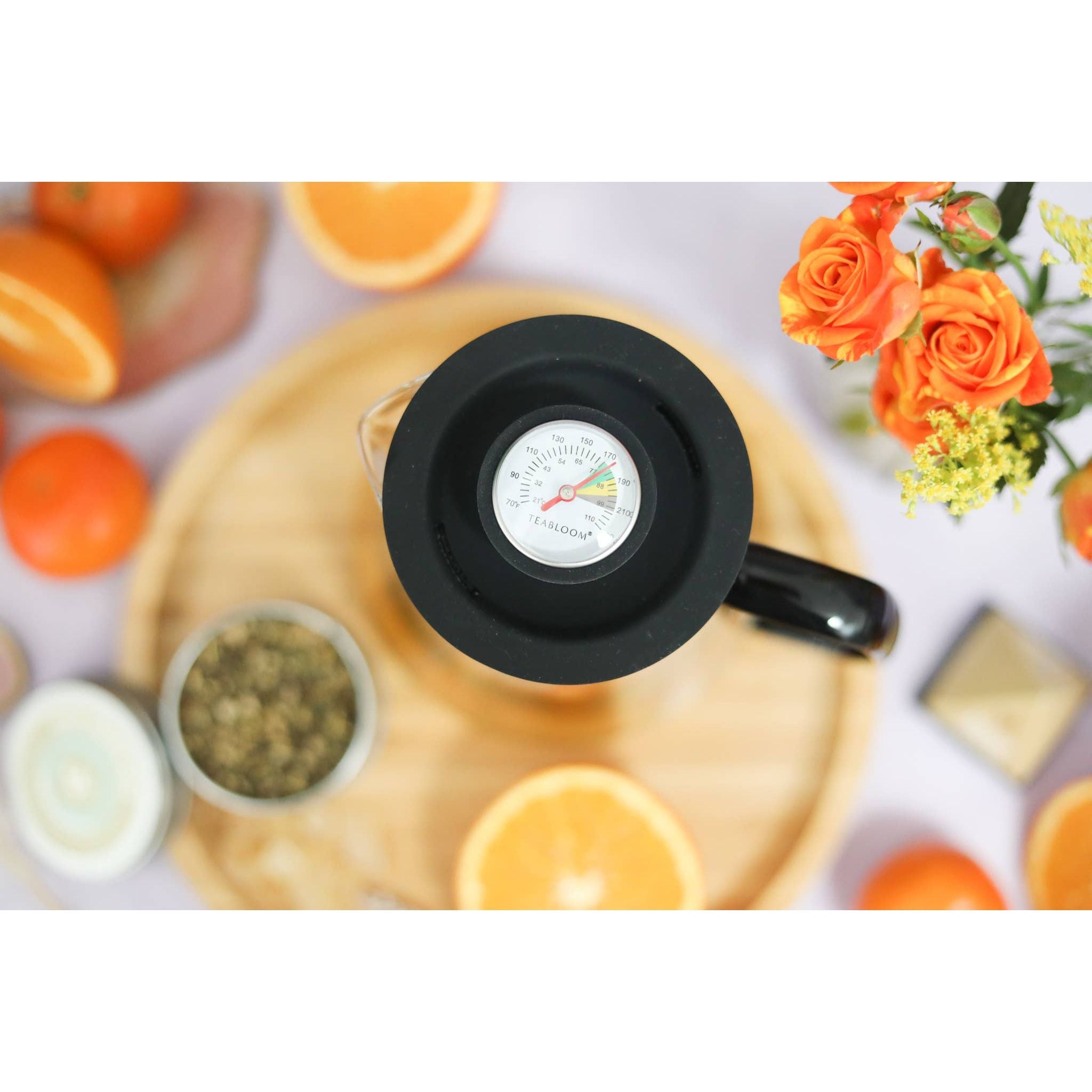 2-in-1 Tea Kettle and Tea Steeper
